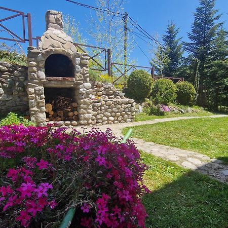 Chalet Mila Mavrovo Exterior foto